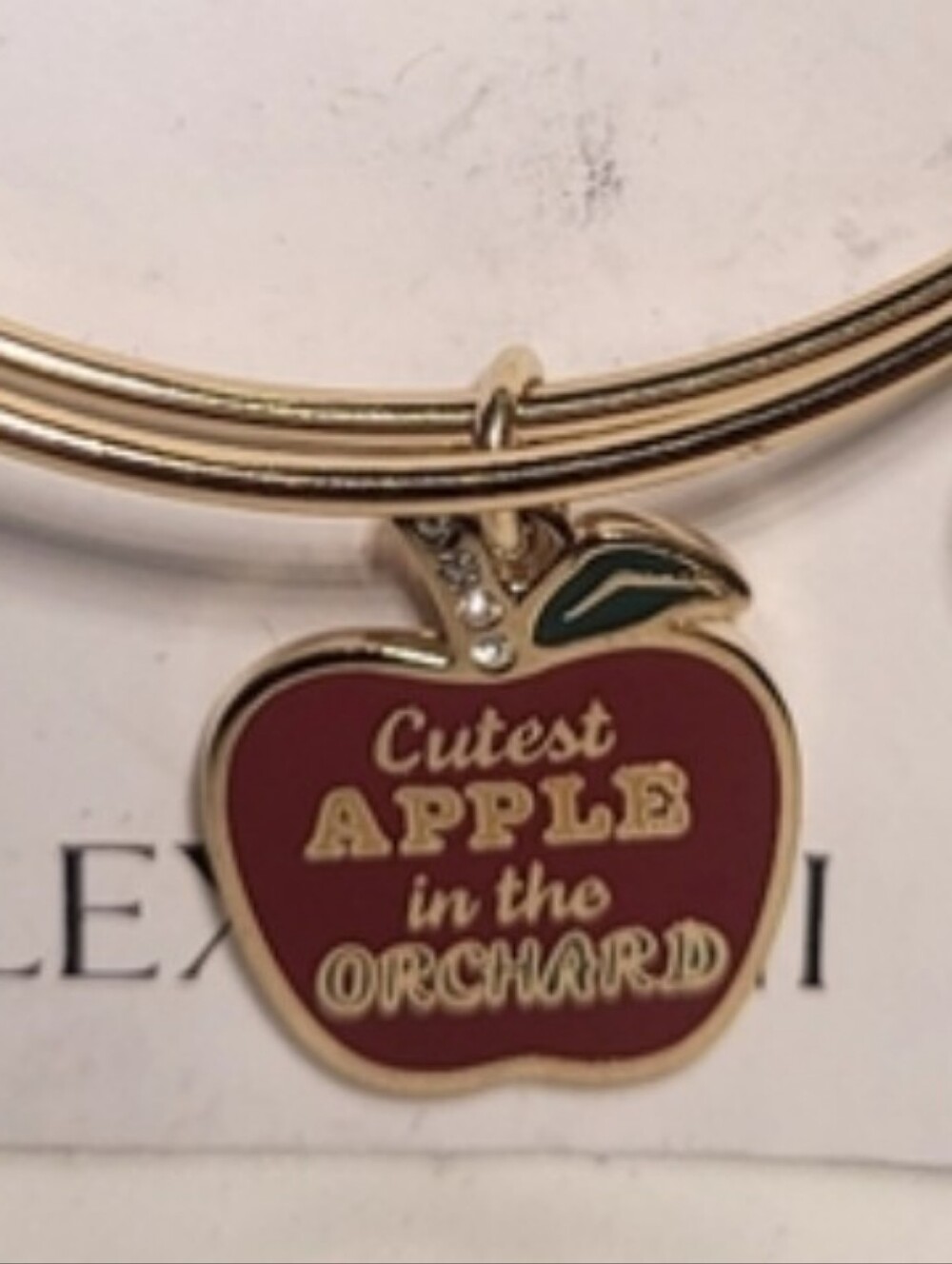 Alex & Ani $28 Apple Charm Gold Tone Bracelet